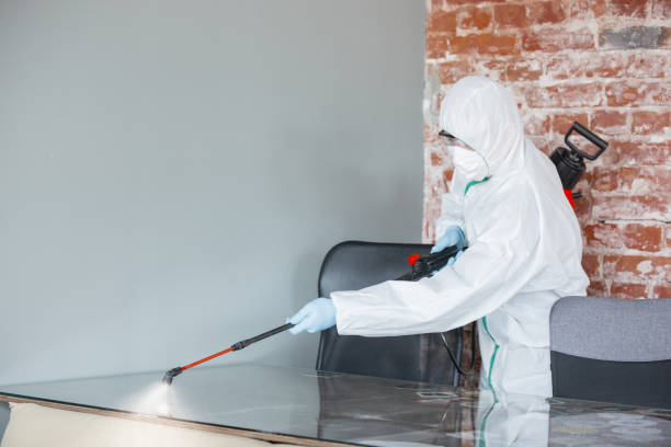 Professional Mold Removal & Remediation in Independence, WI